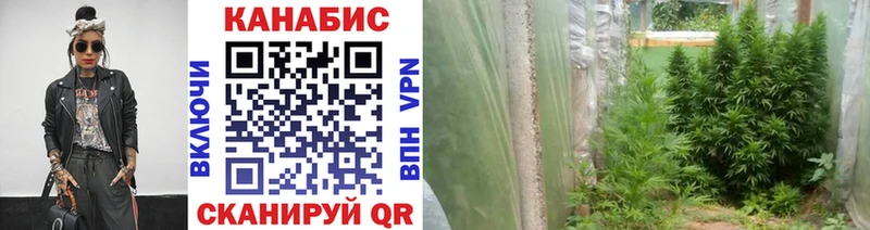 Марихуана план  Инсар 